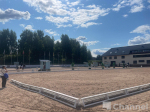 Девять всадников из трех регионов сражаются за медали в Ленобласти