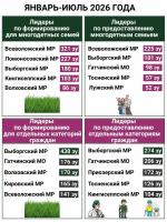 Более 800 участков предоставили многодетным семьям в Ленобласти с начала года