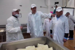 Ленобласть наращивает сыр. Решили инвестировать в моцареллу и буррату