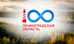 На Финском заливе в районе Усть‑Луги засняли краснокнижного ходулочника
