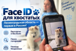 Систему биометрической идентификации животных из Ленобласти могут внедрить по всей стране