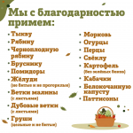 Ленинградский зоопарк принимает желуди, овощи и ягоды для животных