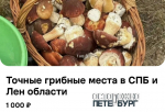 В Петербурге начали продавать координаты грибных мест за тысячу рублей