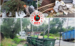 Несанкционированные свалки у контейнерных площадок ликвидировали в Тосненском районе