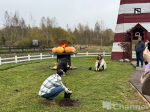 В Ленинградской области отметили День сельскохозяйственных животных