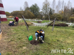 В Ленобласти отметили День сельскохозяйственных животных