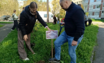 В Гатчине студенты педагогического колледжа высадили сиреневую аллею