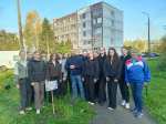 В Гатчине студенты педагогического колледжа высадили сиреневую аллею