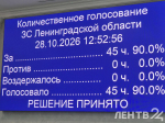 Депутаты поддержали назначение Анны Данилюк на должность вице-губернатора — представителя в Заксобрании